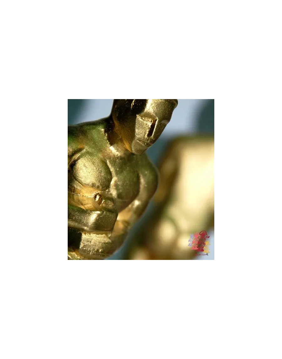 High-Quality Golden Caganer Figurine - Buy Now